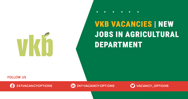Vkb Vacancies